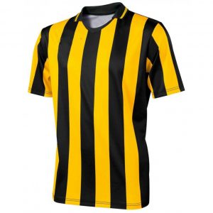 WS-SWSU1
